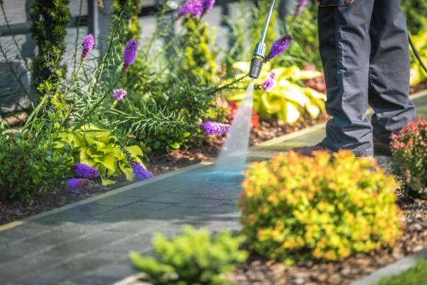 Best Driveway Cleaning and Restoration in Wheeling, IL